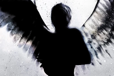 Fallen Angel Wallpapers   Open Walls