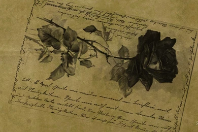 Old Rose Postcard Wallpaper, Rose Flower Images, Rose Pictures And ...