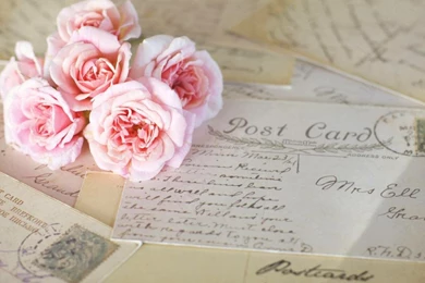 FLOWERS AND POSTCARD WALLPAPER   (