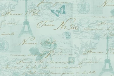 NEW LUXURY HOLDEN CALLIGRAPHY PARIS POSTCARDS STAMPS EIFFEL TOWER ...