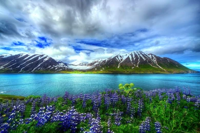 Lakes: Mountain Lake Flowers Sky Nature Beautiful Reflection ...