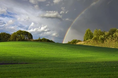 Rainbow And The Rain Clouds Wallpapers   (