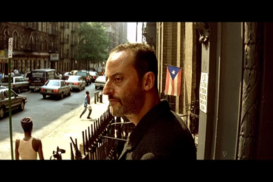 HD Leon The Professional Wallpapers And Photos