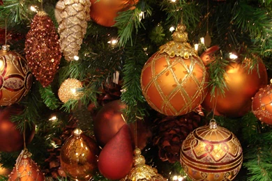 A Beautiful Tree For Christmas Wallpapers And Images   Wallpapers ...