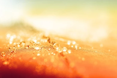 Download Wallpapers 3840x2400 Droplet, Surface, Light Ultra HD 4K ...