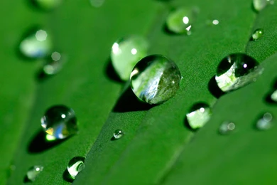 Water Droplet Wallpapers   Wallpapers Cave