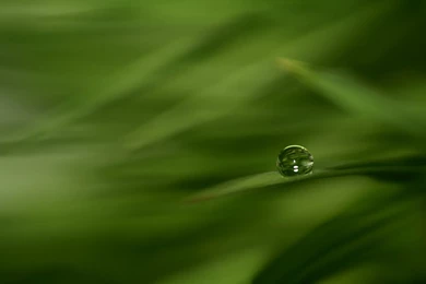 Droplet Wallpapers :. II By Katosu On DeviantArt
