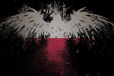 Download Eagles Flags Wallpapers 1920x1080