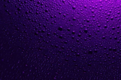 Purple Raindrops On Window Android Wallpapers Free Download