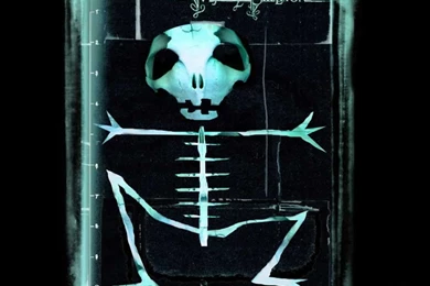 Free Scary Wallpapers   Wallpapers Cave