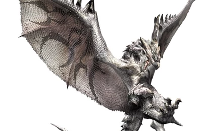 Silver Rathalos Photo Gallery   Monster Hunter Wiki   Wikia