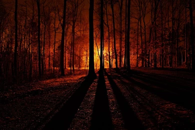 Time To Think: ✿ Halloween Wallpapers