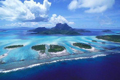 Wallpapers Ocean Themepetite soumiselylye