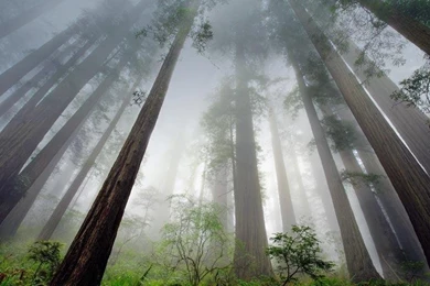 Bing Wallpapers Archive