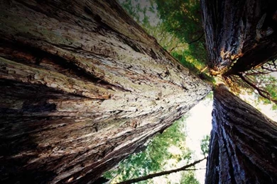 Bing Wallpapers Archive