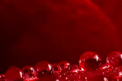 Free Download Dragonball Z Hd Walloapers For Blackberry Z10 ...