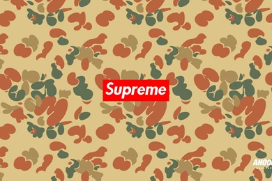 Wallpapers Ahoodie Supreme With Resolution 1920x1080