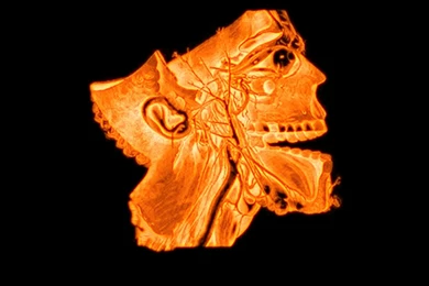 Automobile Art And Entertainment: 3D Fire Skull Wallpapers