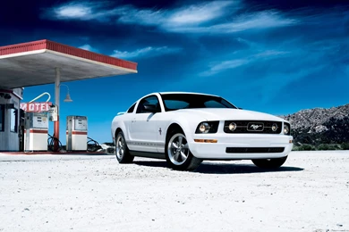 Cars Ford Mustang Wallpapers [2]   (