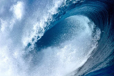 Summer Time Wallpapers   Crazy Frankenstein