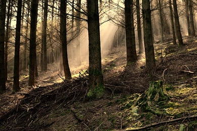 InterfaceLIFT: 3360x1050 Wallpapers Sorted By Date