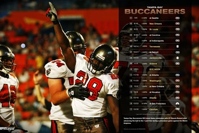 NFC South Desktop Wallpapers
