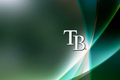 Wonderful Tampa Bay Rays Wallpapers