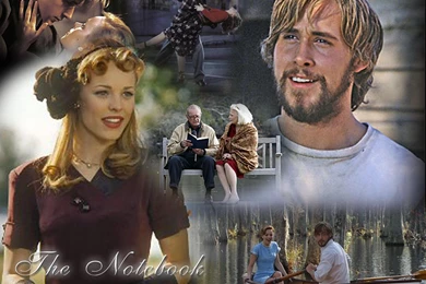 The Notebook   The Notebook Fan Art (6829052)   Fanpop