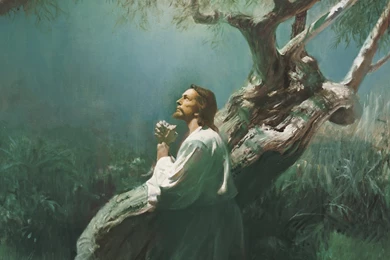 Jesus Praying In Gethsemane (Christ In Gethsemane)