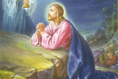 Jesus Christ Praying Wallpapers 07.jpg