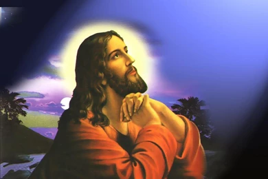 Aceite De Bebe Y Alcanfor Para Reducir Medidas Salud Para Mejor ...