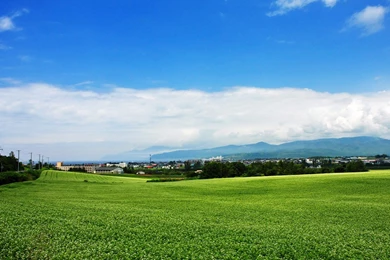 Japan Hokkaido Country Field : Open Field Under Sky1920*1080第38 ...