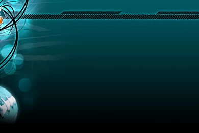 Miami Dolphins Photo