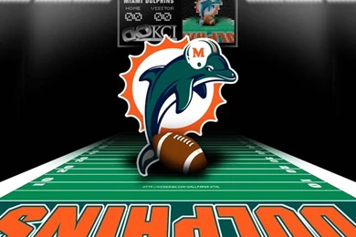Images Of The Miami Dolphins