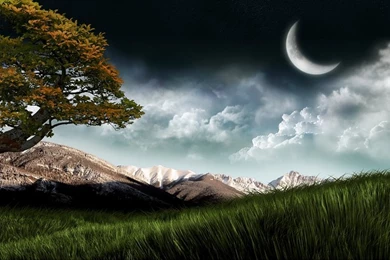 Field Grass Open Field – Nature Fields HD Desktop Wallpapers