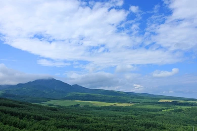 Japan Hokkaido Country Field : Open Field Under Sky1920*1080第28 ...