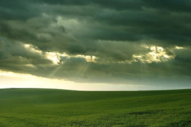 Green Field, Cloudy Day Wallpapers