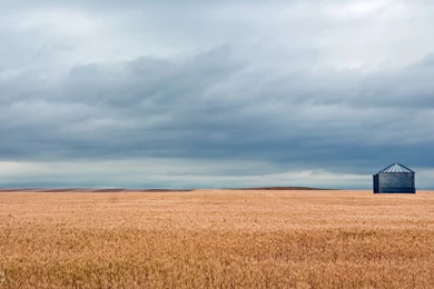 Open Field Montana By Vnt87 On DeviantArt