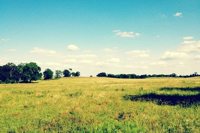 Open Field By Yamogogy On DeviantArt