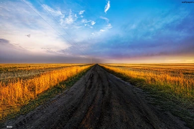 Road In The Fields Wallpapers