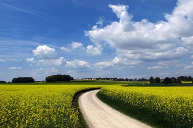 Blue Sky With Green Field Wallpapers