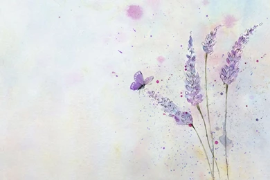 Simple Hand painted Wallpapers HD, HD Desktop Wallpapers