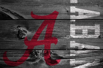 1000+ Images About The iPhone 5 Wallpapers I Just Pinned! On ...