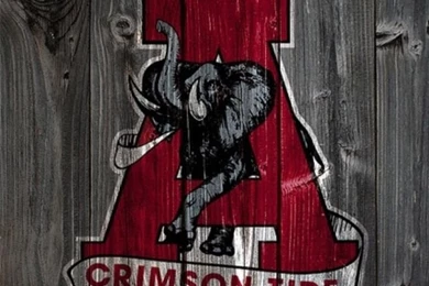 1000+ Images About Pin By