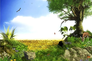 Download 3d Moving Wallpapers