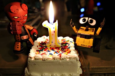 Happy Birthday Wallpapers Funny   Wallpapers Cave