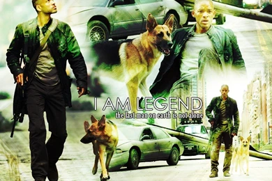 I Am Legend   I Am Legend Wallpapers (1392820)   Fanpop