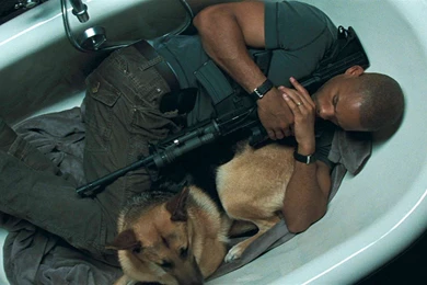 I Am Legend HD Wallpapers