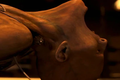 I Am Legend Computer Wallpapers, Desktop Backgrounds