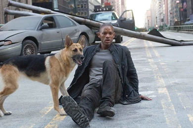 I Am Legend HD Wallpapers